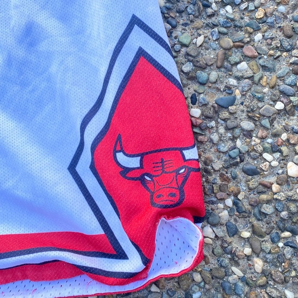🐃🐃 Vintage Chicago Bulls basketball shorts champion - Picture 2 of 7